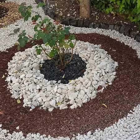 Privat bolig La Casa Degli Artisti Rom